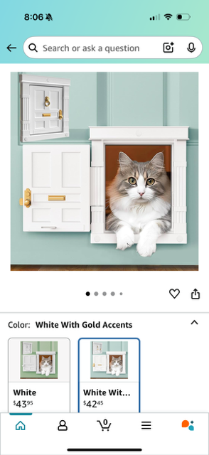 Cat Door