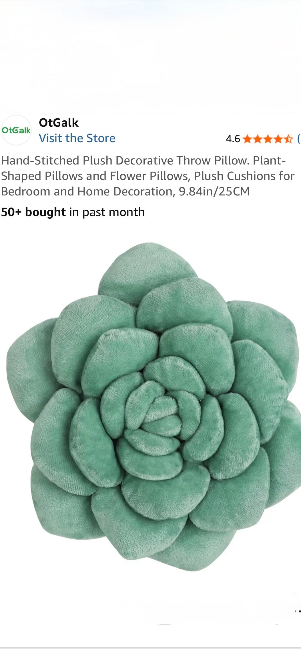 Hand Stitched Decorative Throw Pillow